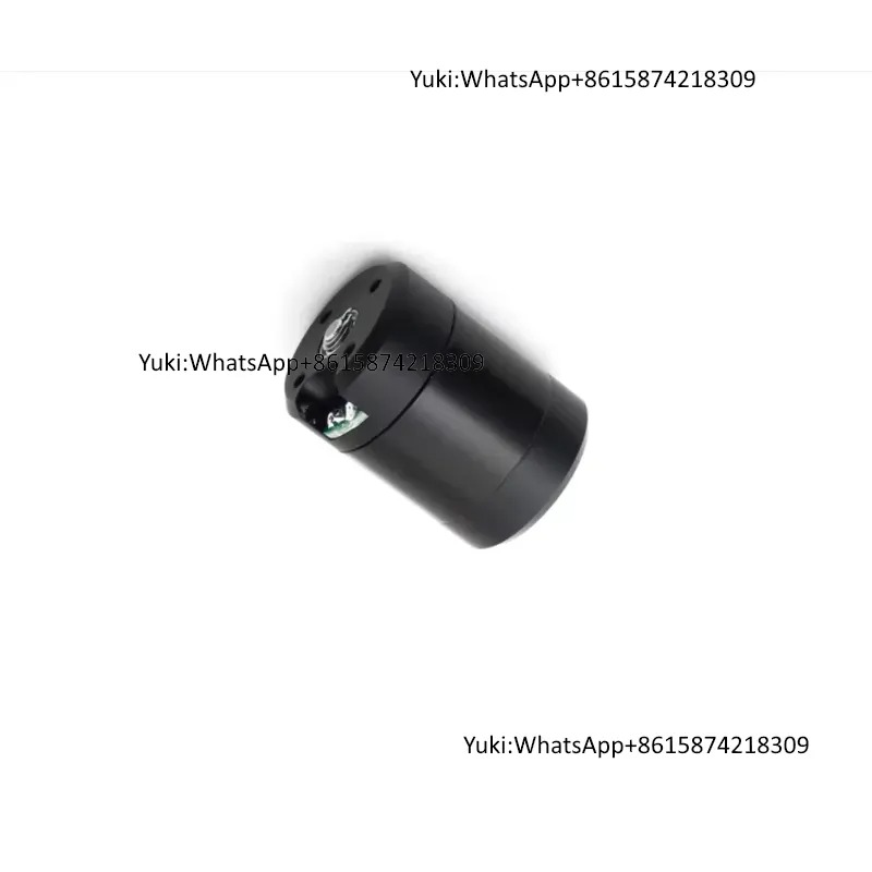 Dc Motor 12V - Moteur sans balais à aimant permanent